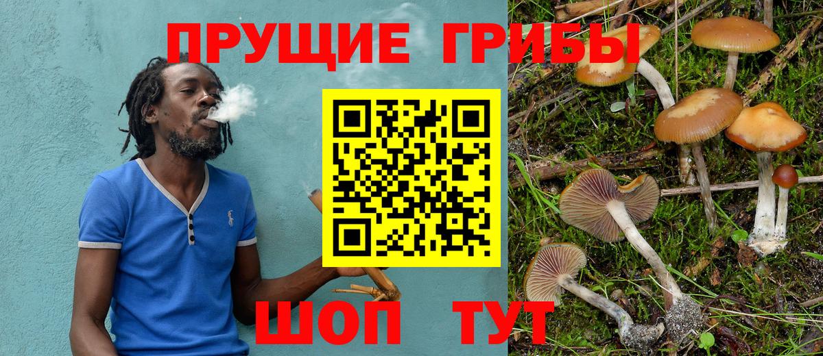 Асино  Галлюциногенные грибы Magic Shrooms  Вход с VPN 